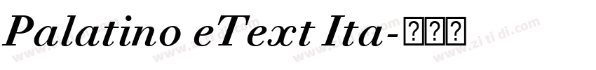 Palatino eText Ita字体转换 Palatino eText Ita字体转换